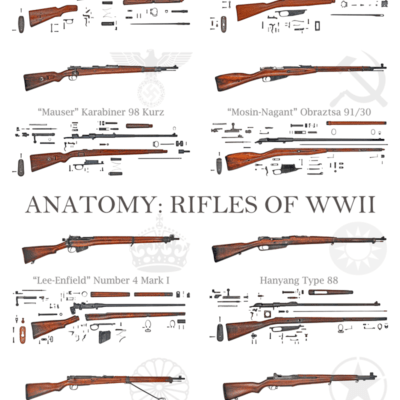 Anatomy: Rifles of WWII Poster