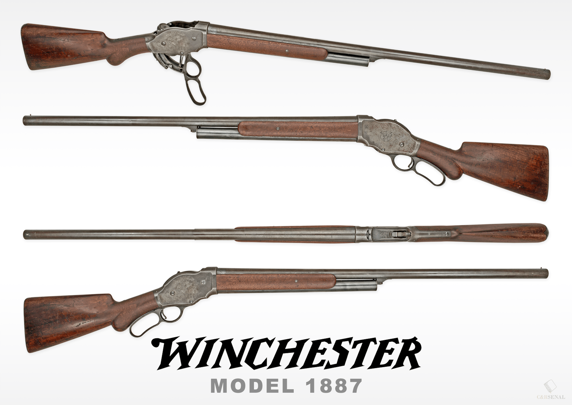 winchester model 1887 10 gauge